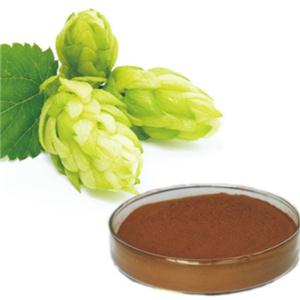 Hop Extract Powder