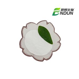 Hydroxypropyl Methyl Cellulose