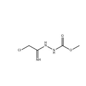 N-Methylcarbonyl-2-chloroacetamidrazone