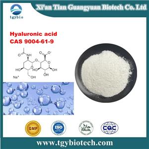 Hyaluronic acid;HA;Hyaluronic acid sodium