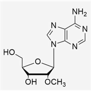 2'-O-Me-Adenosine;2'-OMe-A