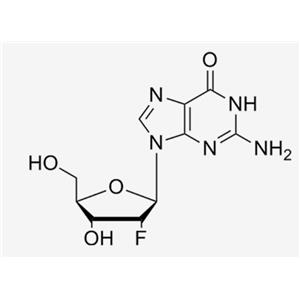 2'-F-2'-deoxyguanosine；2‘-F-dG