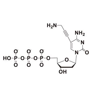 5-Propargylamino-dCTP