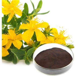 Hypericum Perforatum Extract