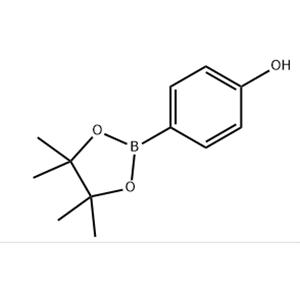 4-Hydroxyphenylboronic acid pinacol ester