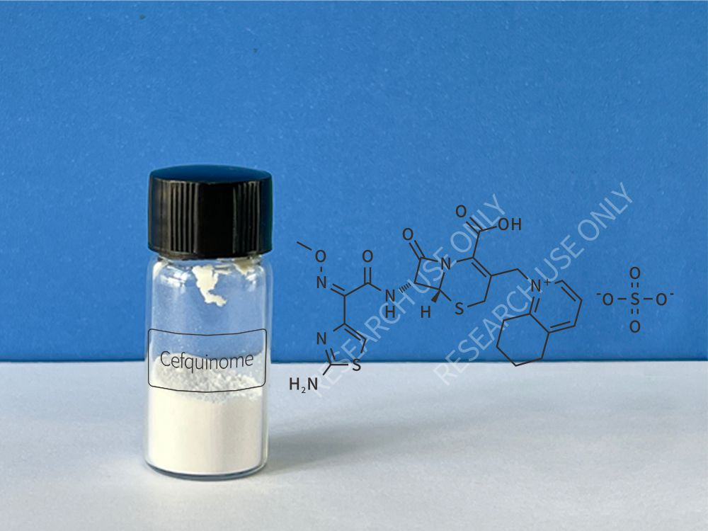 Cefquinome