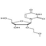 2'-O-(2-Methoxyethyl)-Uridine；2’-MOE-U