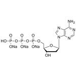 dATP-trisodium-salt