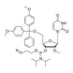 5'-O-DMT-2'-OMe-U-CE