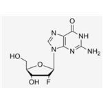 2'-F-2'-deoxyguanosine；2‘-F-dG