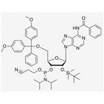 2'-O-TBDMS-A(Bz) CE Phosphoramidite;Bz-rA