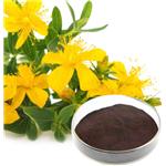 Hypericum Perforatum Extract