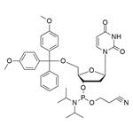 DMT-dU-CE