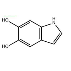 5,6-dihydroxyindole