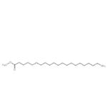 Heneicosanoic Acid methyl ester