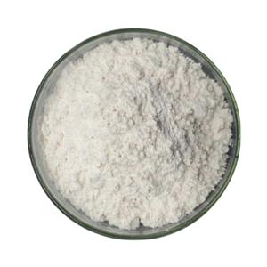 Polymethylmethacrylate