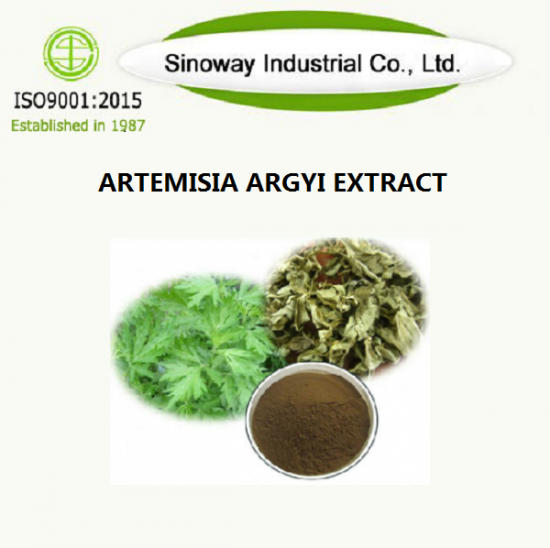 Artemisia Argyi Extract