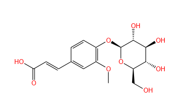 4-hydroxy-3-methoxycinnamic acid 4-O-β-D-glucopyranoside