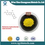 Berberine hydrochloride;Berberine hcl