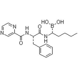 Bortezomib