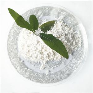 Isooctyl palmitate