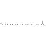 16-HYDROXYHEXADECANOIC ACID