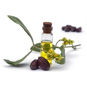 JOJOBA OIL