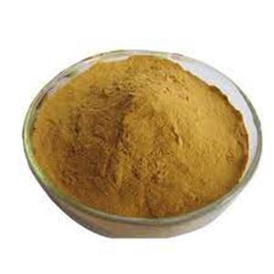 Bupleurum Extract