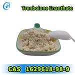 Trenbolone Enanthate