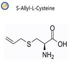 S-ALLYL-L-CYSTEINE