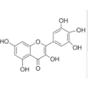 myricetin