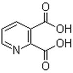 2,3-Pyridinedicarboxylic acid