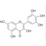 myricetin