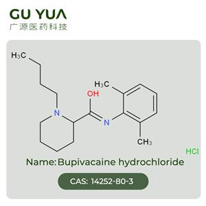 Bupivacaine hydrochloride