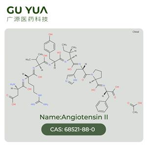 Angiotensin II