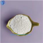 BUTYL 4-HYDROXYBENZOATE SODIUM SALT