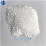 BUTYL 4-HYDROXYBENZOATE SODIUM SALT