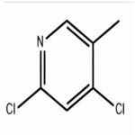 2,4-Dichloro-5-Methylpyridine