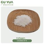 Collagen