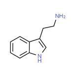 Tryptamine