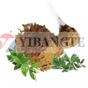 SAPONARIA OFFICINALIS EXTRACT