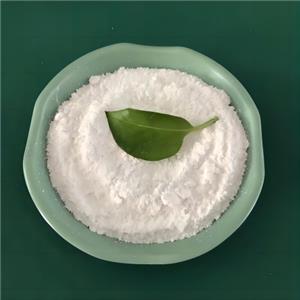 Ipratropium bromide monohydrate