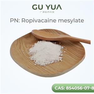 Ropivacaine mesylate