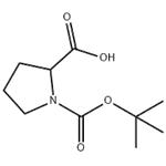 Boc-DL-Pro-OH