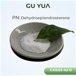 Dehydroepiandrosterone