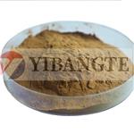 PHYLLANTHUS EMBLICA FRUIT EXTRACT