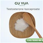 Testosterone Isocaproate