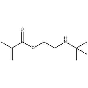 2-(TERT-BUTYLAMINO)ETHYL METHACRYLATE