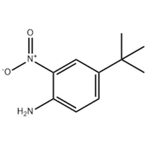 4-(TERT-BUTYL)-2-NITROANILINE