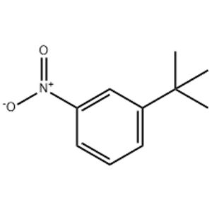 1-TERT-BUTYL-3-NITROBENZENE